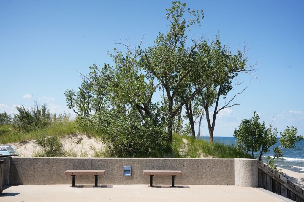 Explore the Gary Aquatorium along the Lake Michigan Shoreline