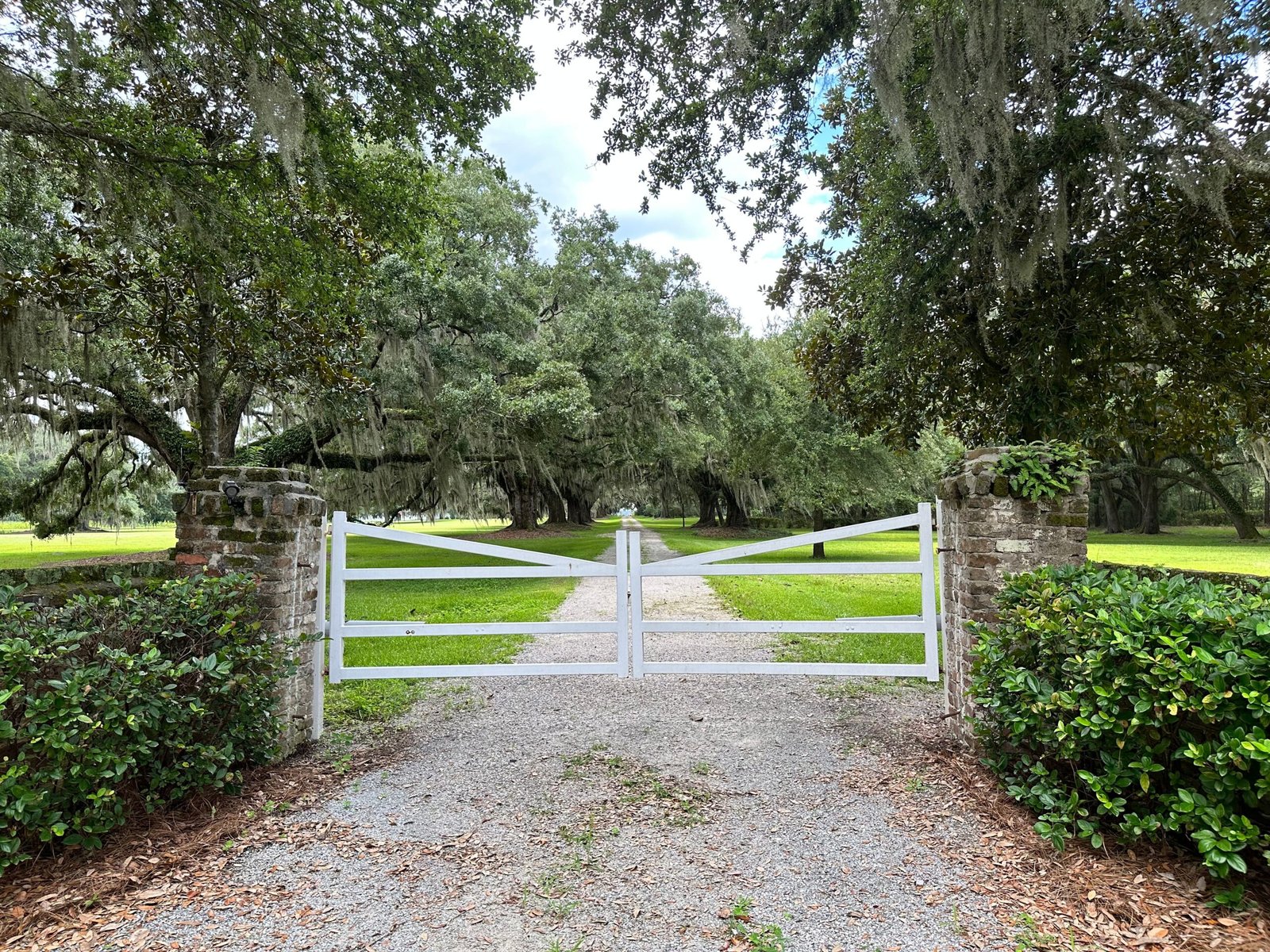 Explore the Historic Boone Hall Plantation