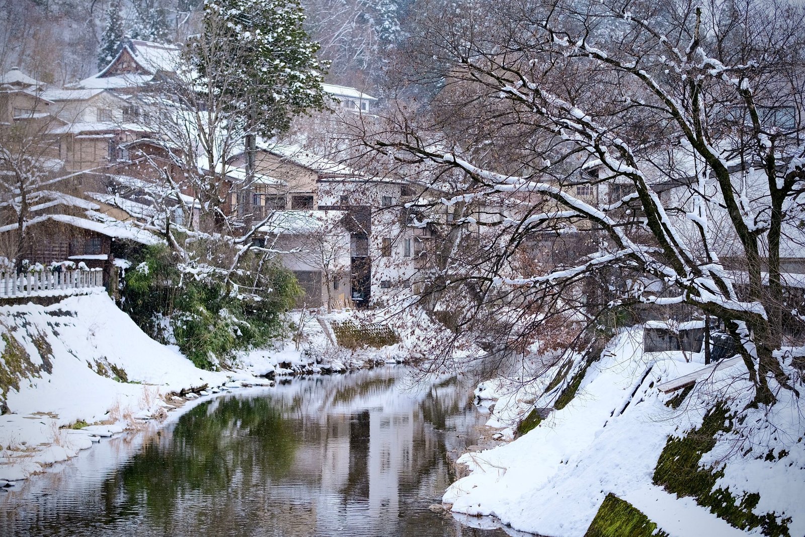Explore the Historic Village of Takayama During Its Autumn Festival