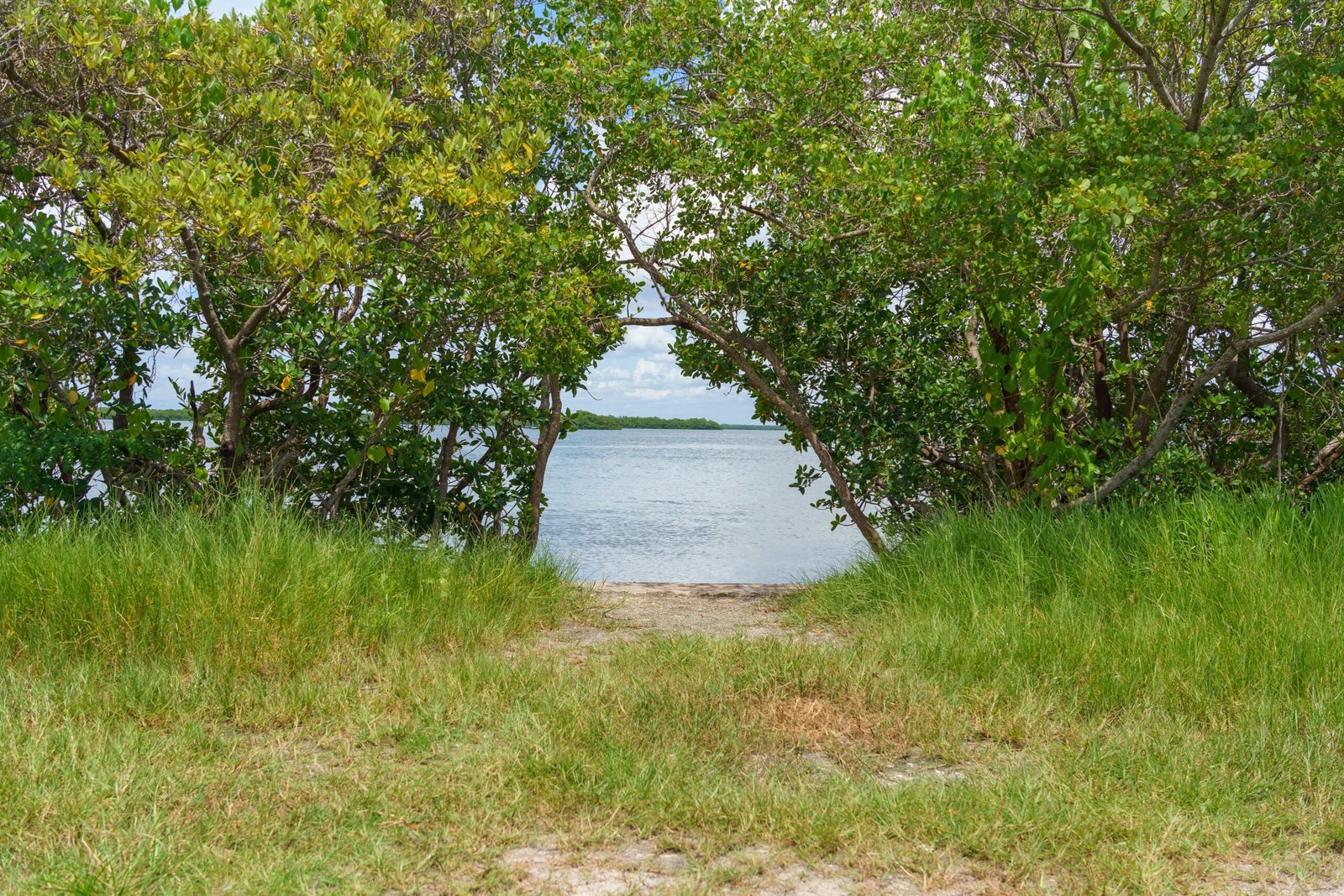 Explore the Lush Trails at Estero Bay Preserve State Park