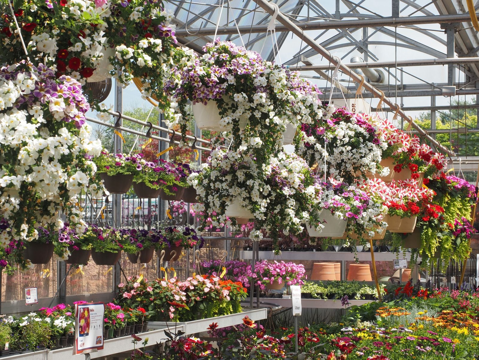 Explore the Quad City Botanical Center for Beautiful Gardens and Seasonal Displays