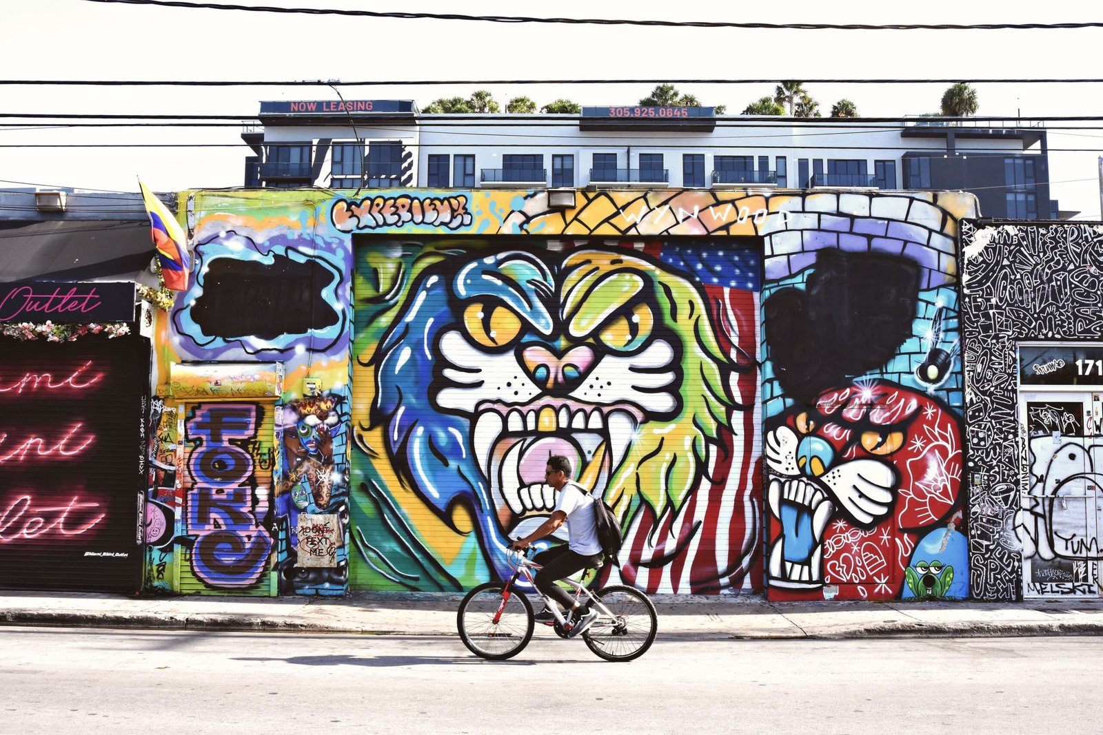 Explore the Vibrant Murals at the Downtown Cultural District