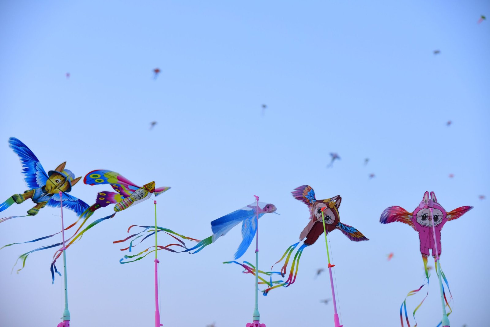 Fly a Kite at the Padre Island Kite Festival