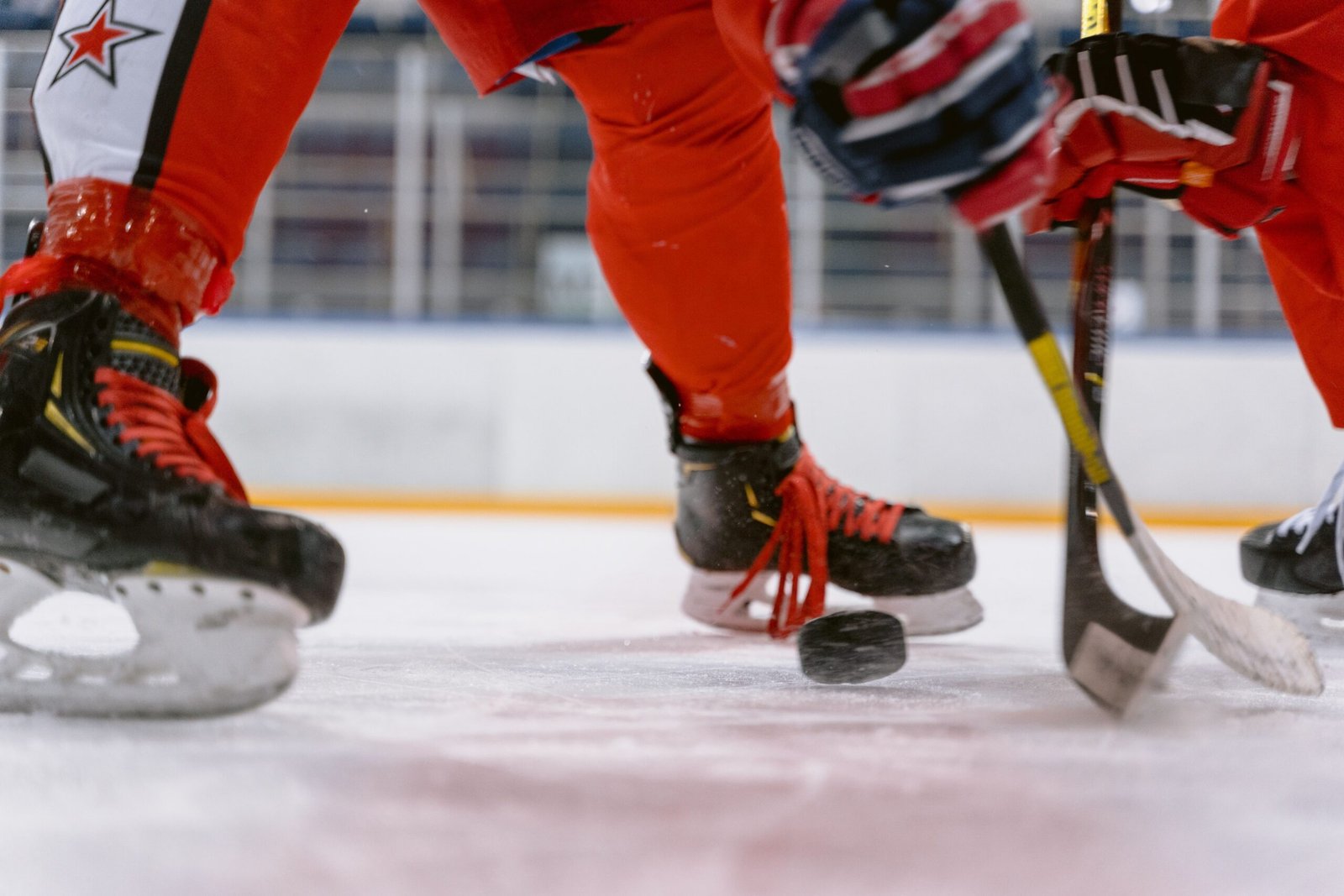 Go Ice Skating at Logitech Ice Arena