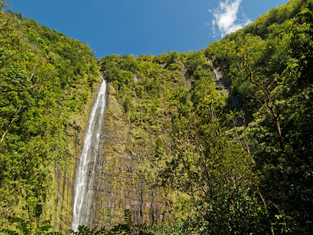 Hike to Waimoku Falls via the Pipiwai Trail