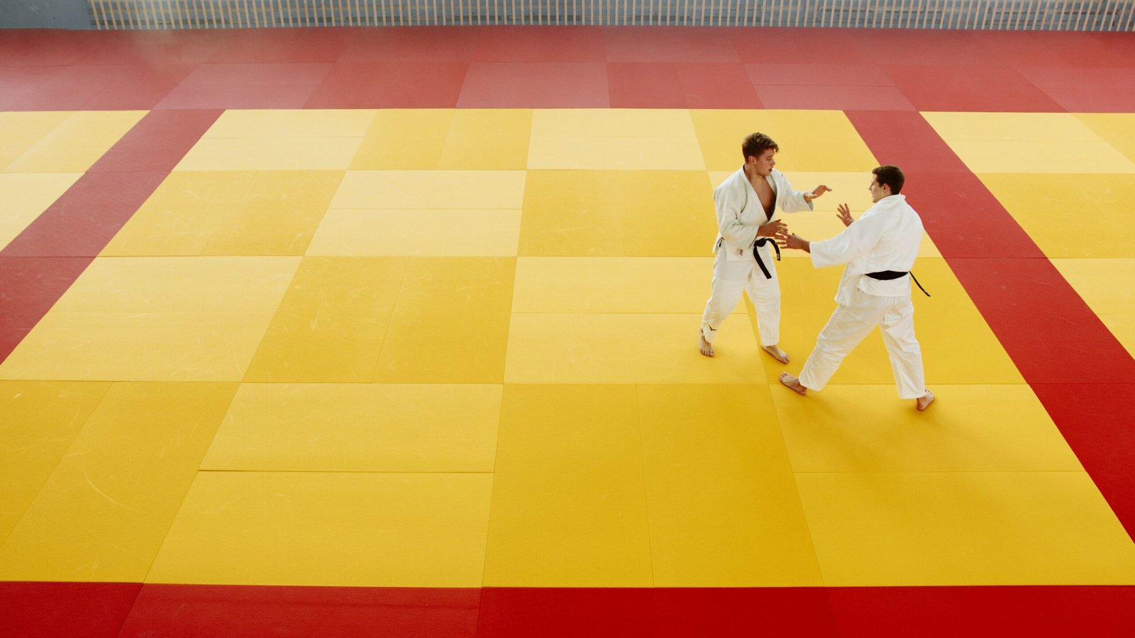 Join in on a Martial Arts Class at a Local Dojo to Learn About Judo or Aikido