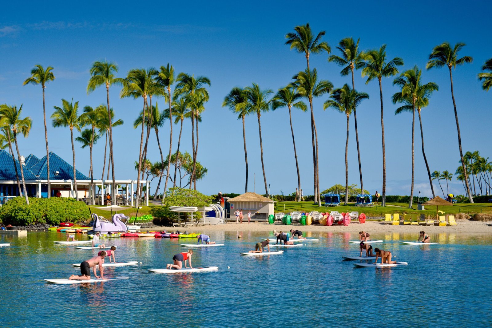 Participate in a paddleboard yoga class