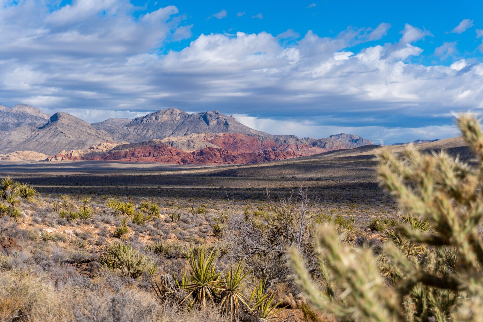 Relax at the Tranquil Red Rock Canyon National Conservation Area