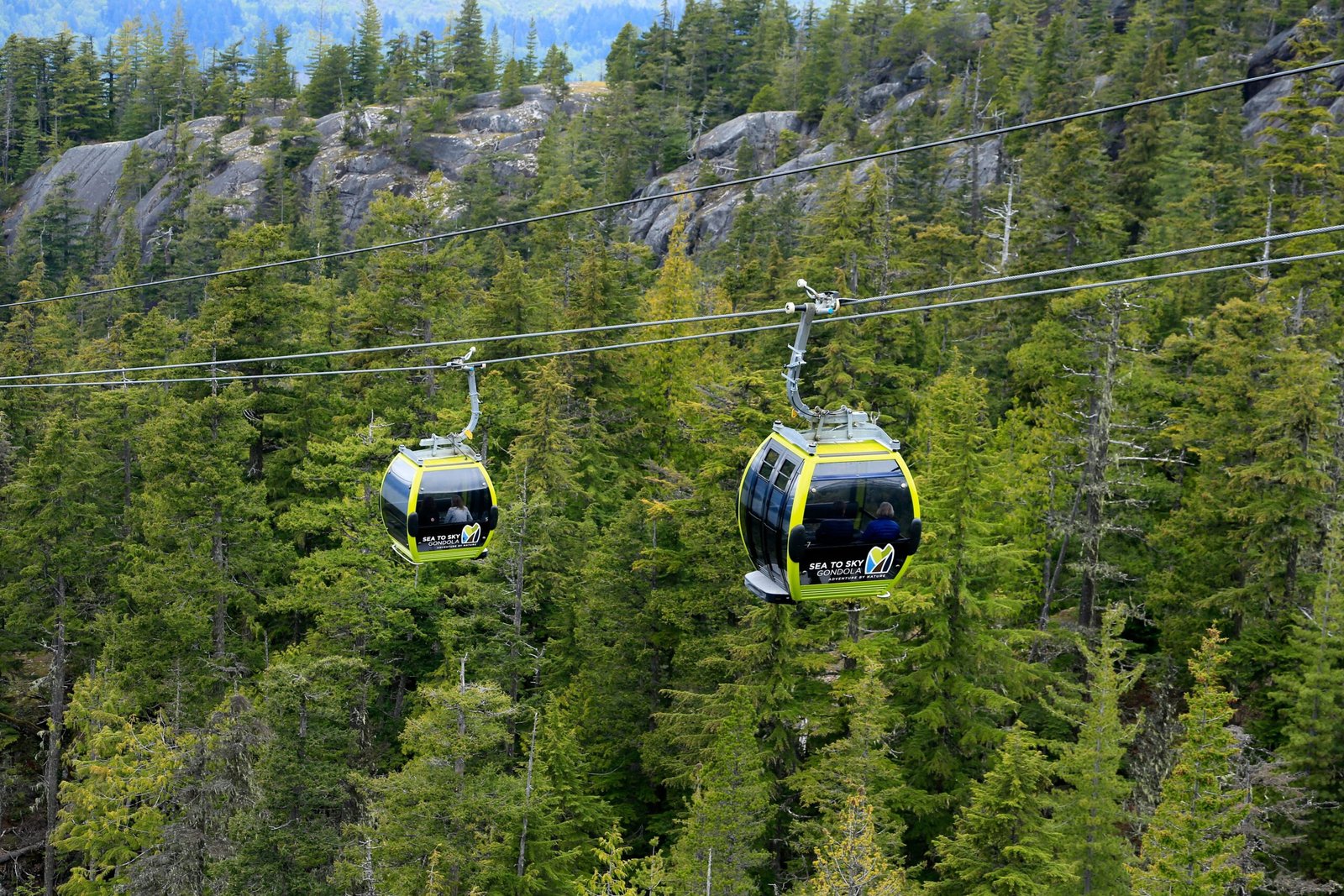 Experience the wonder of nature at the Snowbird Resort's Aerial Tram