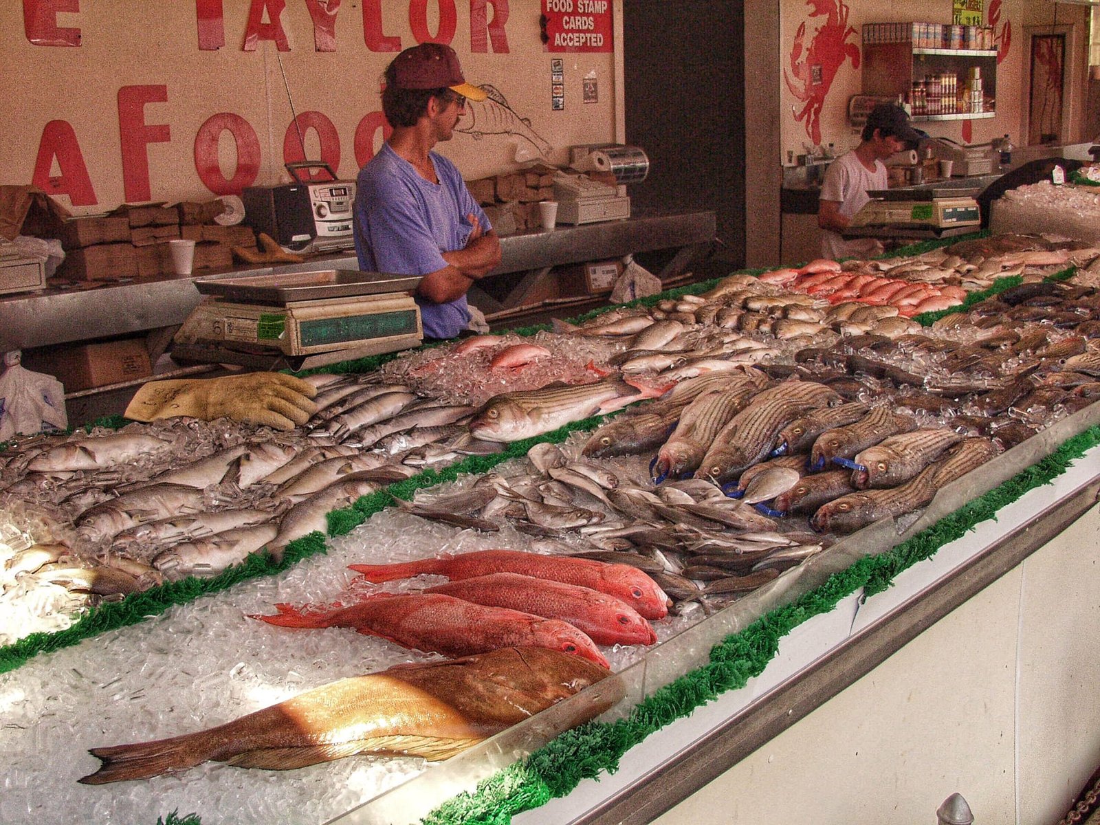 Visit the City Island Seafood Market for Fresh Fish and Local Charm
