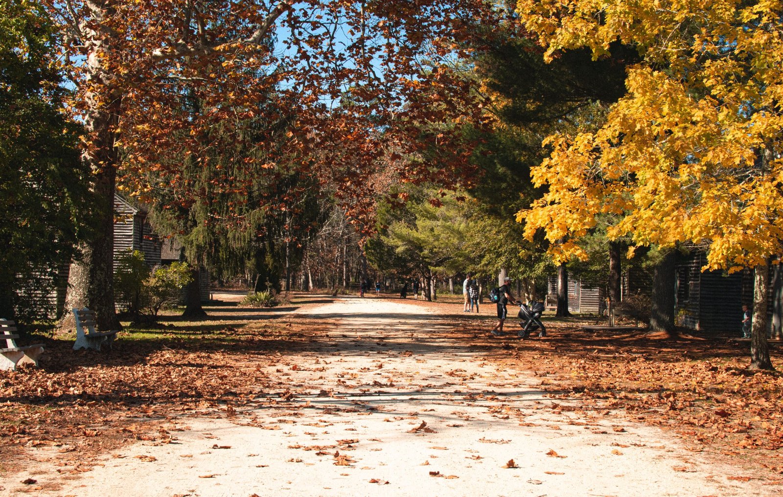 Visit the Historic Village of Allaire State Park