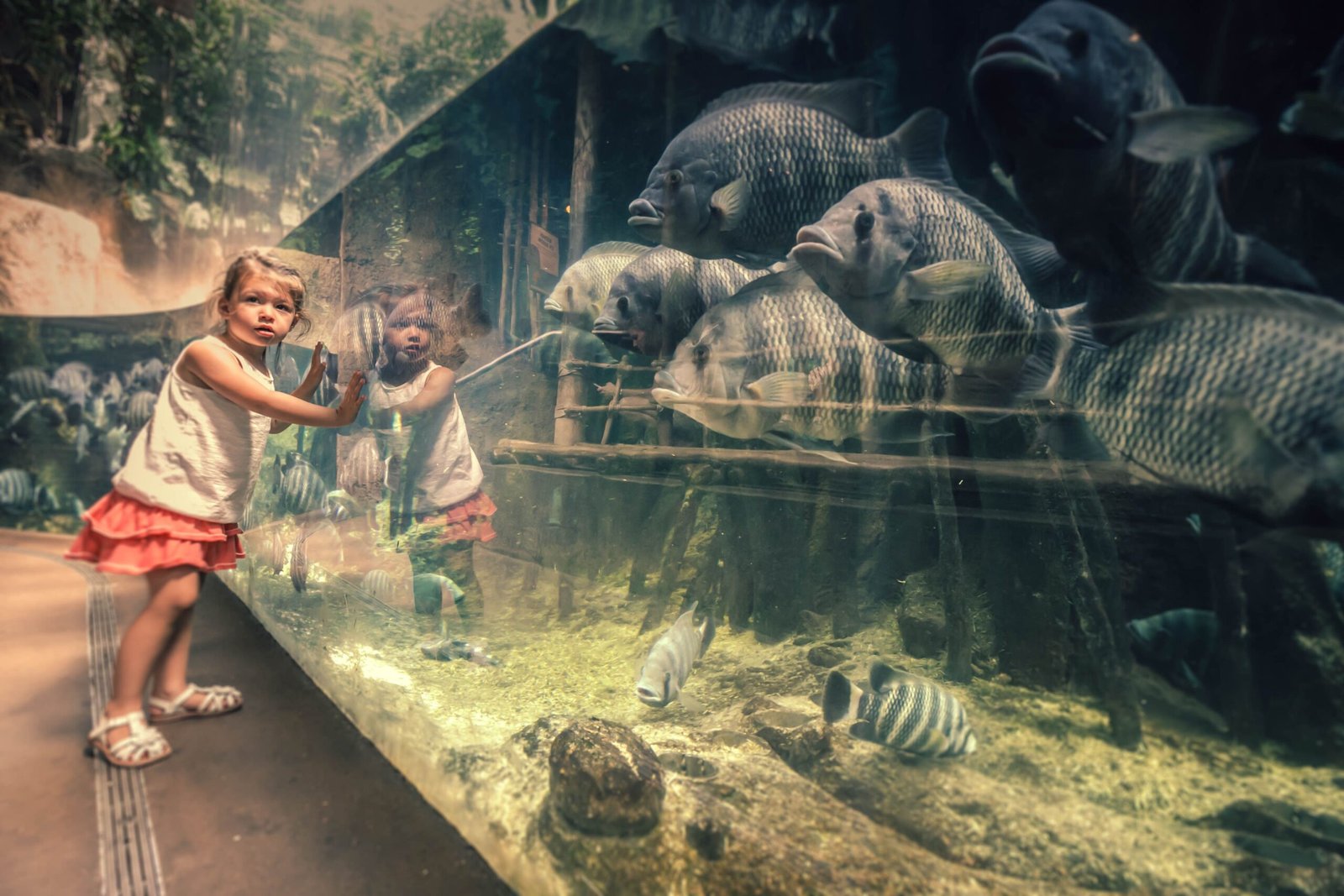 Visit the Texas State Aquarium