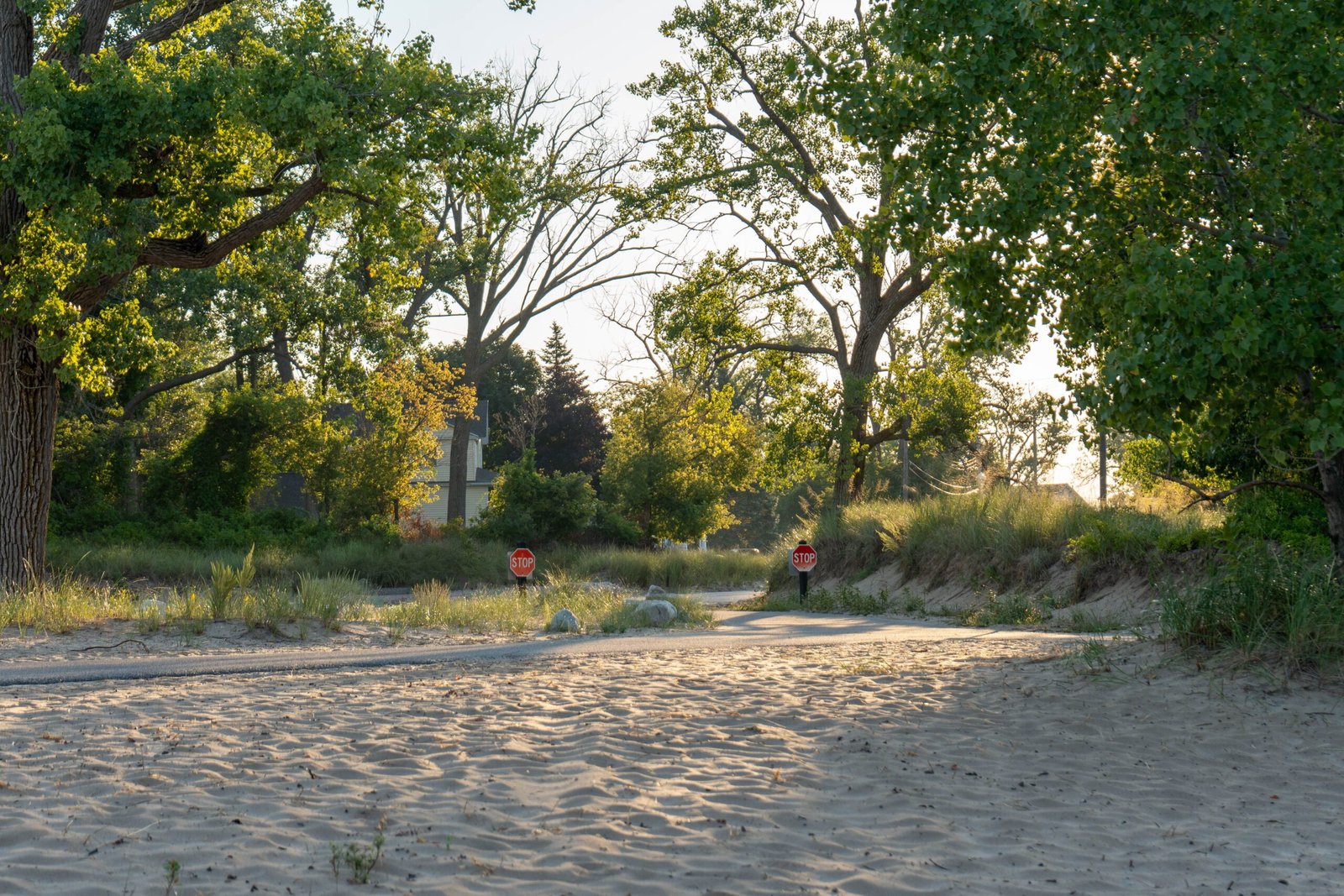 Walk through the Scenic Marquette Park and Enjoy its Beach