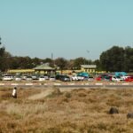 things to do in Botswana!
