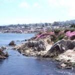 Overview city of Pacific Grove