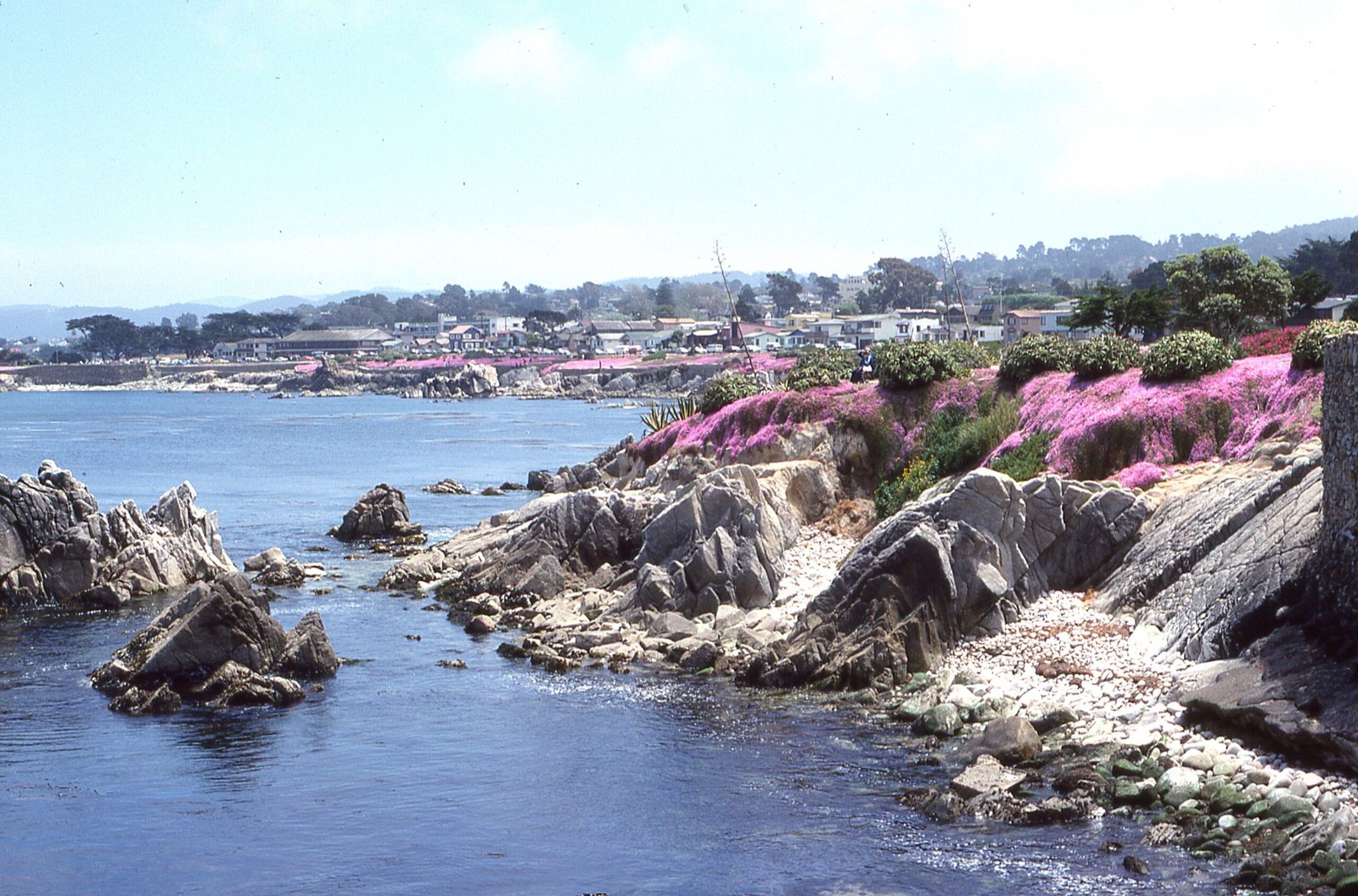 Overview city of Pacific Grove