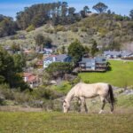 Overview city of Placerville California