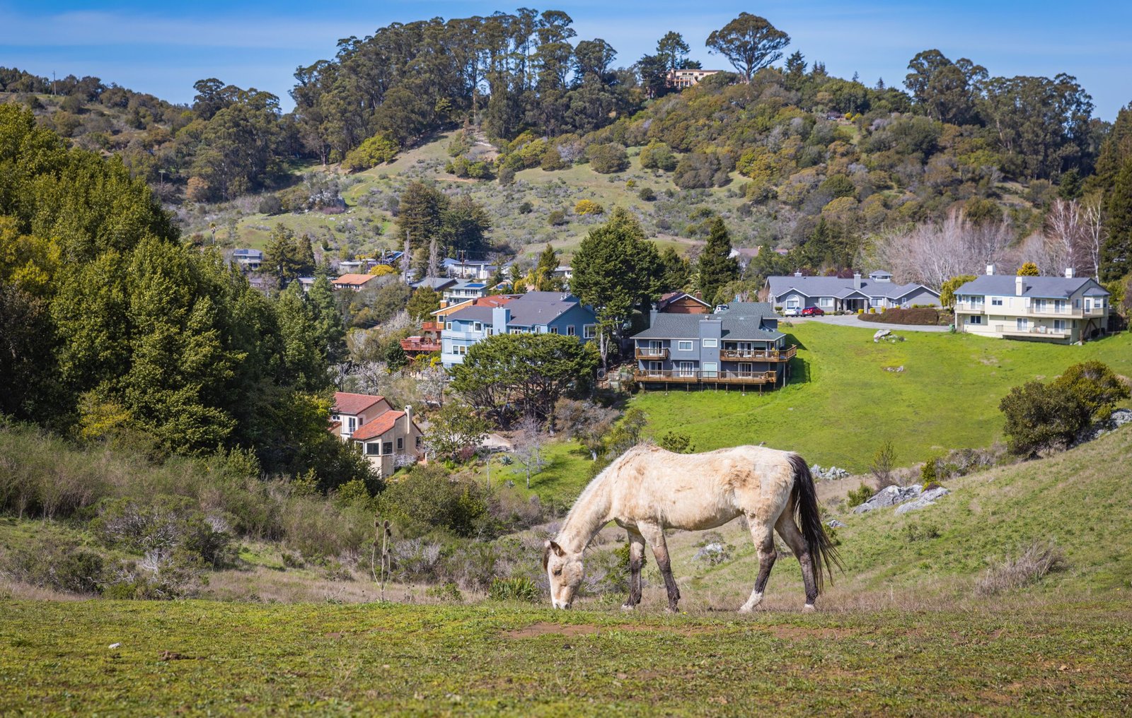 Overview city of Placerville California